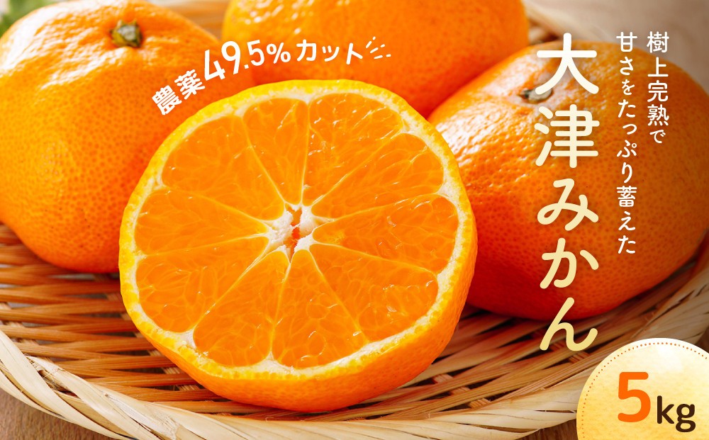 
                  大津みかん（5kg）※12月中旬～下旬発送 | 湯河原町 自然栽培 旬 みかん フルーツ 大津4号
                