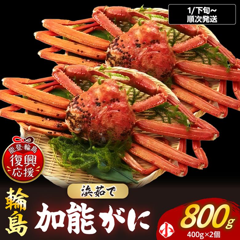 【先行予約】浜茹で 加能ガニ(雄ズワイガニ)【小×2】(2027年1月20日以降発送) wa001-021-01