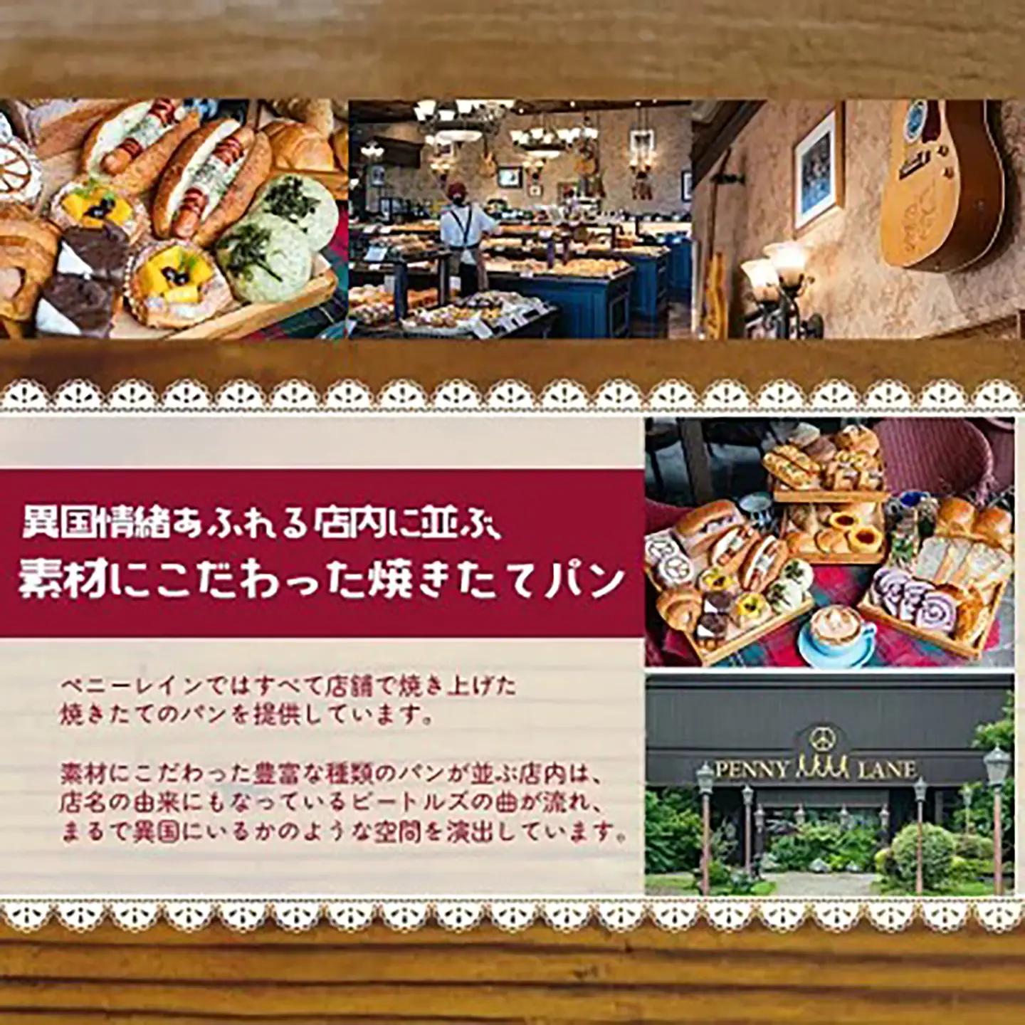ブルーベリーブレッド3本 6ヵ月定期便 パン ベリー