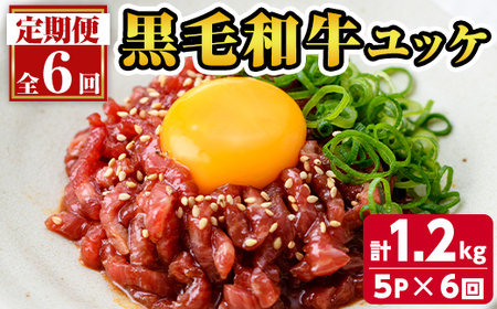 【連続6ヶ月定期便】鹿児島県産黒毛和牛ユッケ 計1.2kg 40g×5パック×6回 株式会社カミチク《お申し込み翌月から出荷》鹿児島県 さつま町 鹿児島県産 黒毛和牛 ユッケ 生食用 小分け タレ付き 定期便
