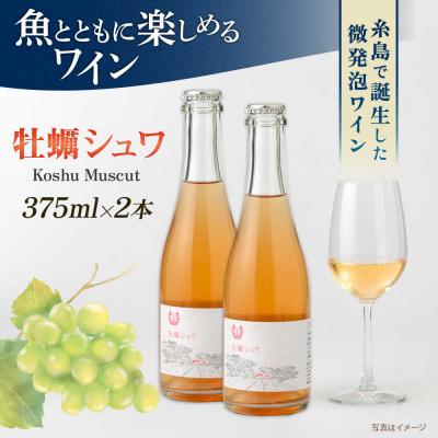 ふるさと納税 糸島市 【糸島マスエワイナリ】 牡蠣シュワ 2本 糸島市/いとしのいとしま[AEP003]