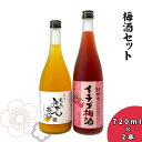 【ふるさと納税】紀州 完熟みかん梅酒・イチゴ梅酒セット 720ml×2本 / 梅酒 セット みかん いちご 母の日 父の日 ギフト プレゼント 記念日 お祝い 誕生日 贈答 贈り物 お正月 クリスマス 年末年始 お酒 //alcohol