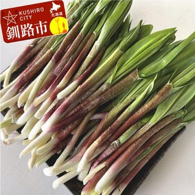 ふるさと納税 釧路市 釧路産・天然 鮮度そのまま行者にんにく 100g×2