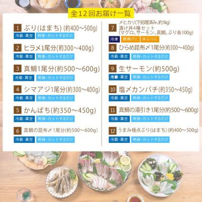 ふるさと納税 門川町 【毎月定期便】旬の鮮魚12ヶ月コース(門川町)全12回 |  | 02