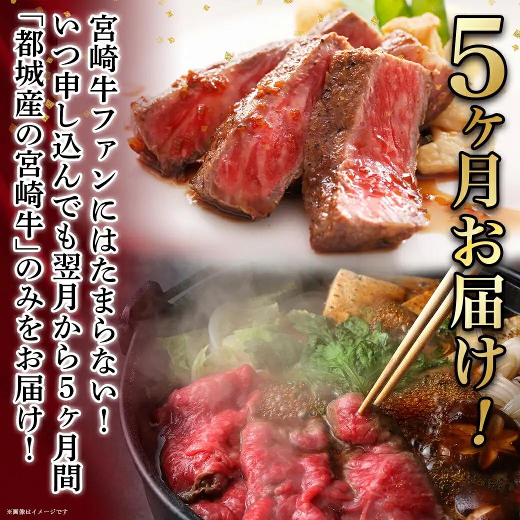 宮崎牛定期便(5ヶ月)〔T60（5）-0102〕_(都城市) ブランド牛肉 国産黒毛和牛 赤身 バラ 切り落とし サーロインステーキ 焼き肉 様々な宮崎牛の部位を5ヶ月間毎月お届け