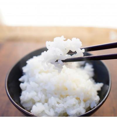 ふるさと納税 上越市 【令和6年産　2024年10月より順次発送】特別栽培米コシヒカリ【無洗米】5kg×1袋　新潟県上越産 |  | 01