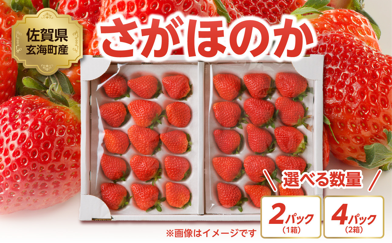 
★予約受付★【内容量が選べる】渡邉農園 佐賀県玄海町産「さがほのか」2025年1月～4月までに順次配送 ／ 送料無料 さがほのか 苺 いちご イチゴ 希少 果物 くだもの フルーツ デザート 旬 1月配送 順次配送 予約受付
