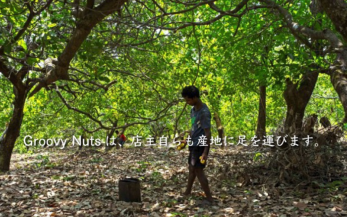 グルーヴィナッツ Groovy Nuts ローストナッツ 150g 素焼き
