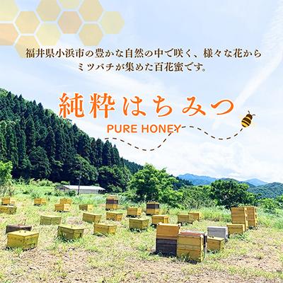 ふるさと納税 小浜市 はちみつOBAMA |  | 01