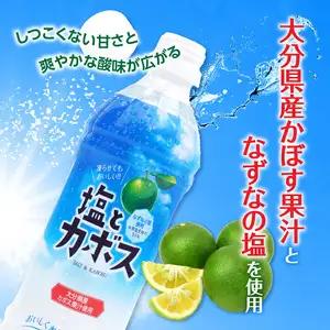 塩とカボス　495ｍｌ×24本 I02059