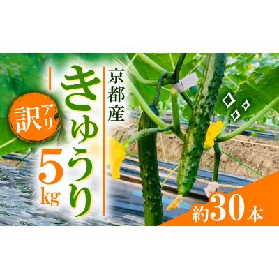 ふるさと納税 久御山町 【訳アリ】 きゅうり5kg(約30本)
