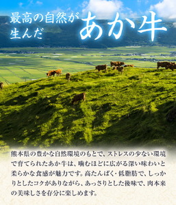 GI認証取得 くまもとあか牛100％使用 くまもとあか牛ハンバーグ 150g×10パック あか牛 ハンバーグ 牛肉 肉 国産 九州産 熊本県産 冷凍《30日以内に出荷(土日祝除く)》