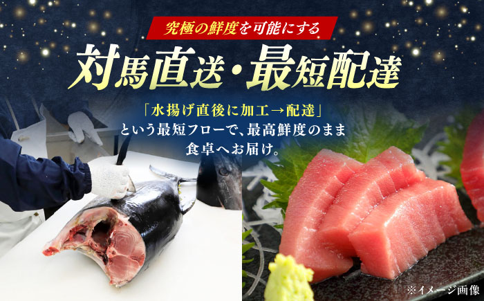【全3回定期便】対馬産 本マグロ 4種 計1kg（赤身/中トロ/大トロ/ネギトロ）《対馬市》【対海】[WAH006] マグロ まぐろ 鮪 本鮪 本マグロ 養殖 トロ 中トロ 中とろ 大トロ 大とろ 赤