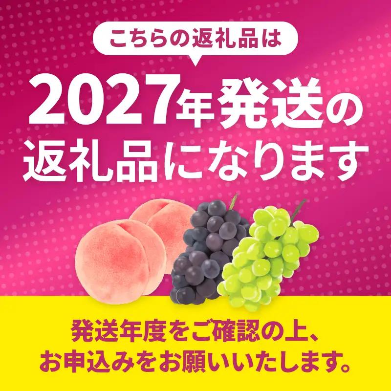 元祖黒系！！旬の採れたて種なし巨峰1.0kg以上（2房～3房）【2027年発送】（HO）B12-148 巨峰 フルーツ