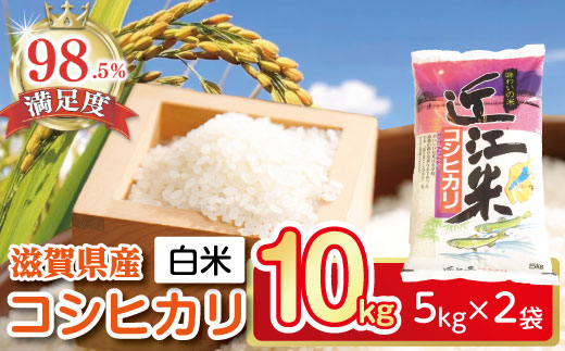 【新米】【7年産】近江米こしひかり【10kg（5kg×2袋）】【T020W2】