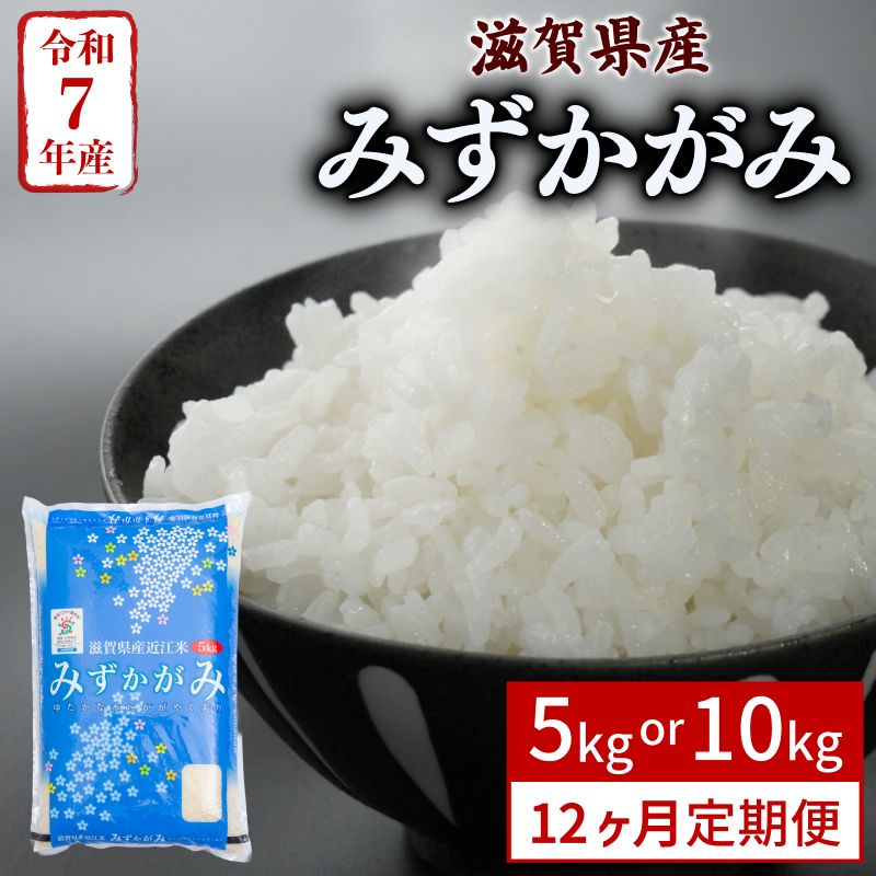 【ふるさと納税】 みずかがみ 12ヶ月定期便 5kg 10kg 令和7年産 米 精米 こめ コメ お米 ご飯 5キロ 10キロ 令和7年 12回定期便 定期便 ふるさと納税米 ふるさと納税米定期便 滋賀 彦根
