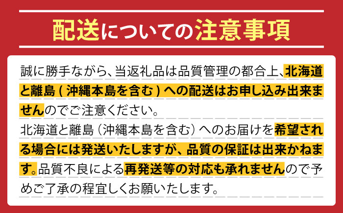 【2025年4月中旬～発送】パパイヤメロン 約5kg（約5～7玉）/ メロン めろん パパイヤメロン 果物 フルーツ / 南島原市 / 長崎県農産品流通合同会社 [SCB086]