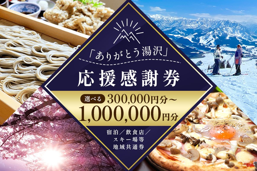 
                  「ありがとう湯沢」応援感謝券　選べる金額 【300,000円分/600,000円分/1,000,000円分】旅行券 クーポン券 割引券 サービス券 旅行 観光 スキー場 温泉 お土産 旅館 ホテル 民宿 レジャー施設 お食事券 地域商品券 リフト券 旅行券 スノーボード チケット 越後湯沢
                