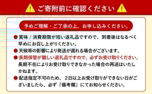 お米 白米 米 白米 野菜 セット 新鮮 季節野菜 ごはん 食べ比べ 朝食 昼食