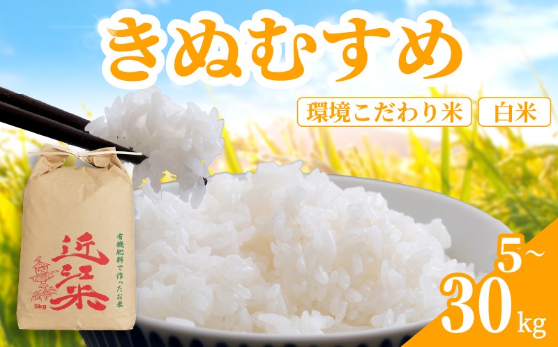 
                  【 新米予約 】 新米 令和8年産 きぬむすめ 30kg ～ 5kg 白米 米 R8 年産 キヌムスメ 2026年産 国産 農家直送 環境こだわり お試し用 単品 小分け 単品 お米 こめ おこめ ライス コメ 精米 おいしい 産地直送 人気 おすすめ 5キロ 10キロ 20キロ 30キロ kome okome 2026年産 送料無料 滋賀県 日野町 育農舎 [IN050_R8_OYA]
                