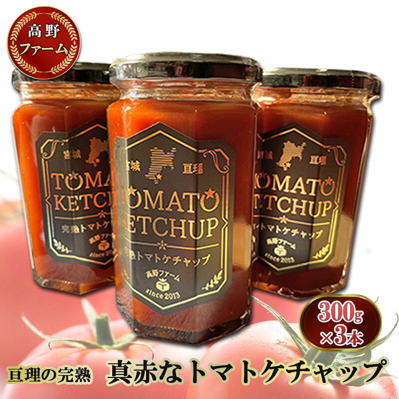 【ふるさと納税】ソース 数量限定 トマトケチャップ 300g×3本 濃厚 深い味わい 自家製 加工食品 調味料 ハンバーグ ロールキャベツ エビチリ 料理 高野ファーム 宮城県亘理町