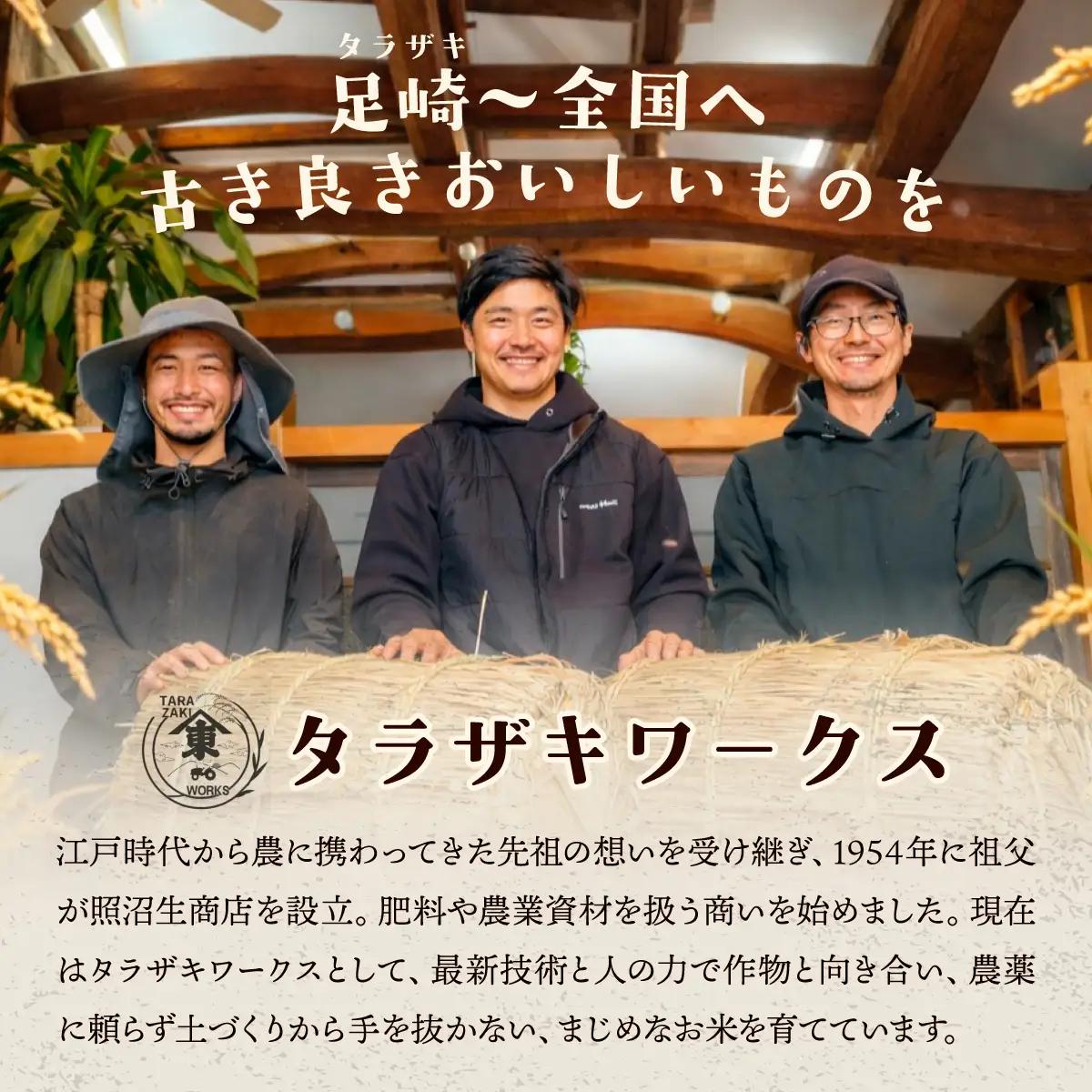 【12回定期便】 令和8年産 コシヒカリ 玄米 30kg | 新米 令和8年 お米 こしひかり