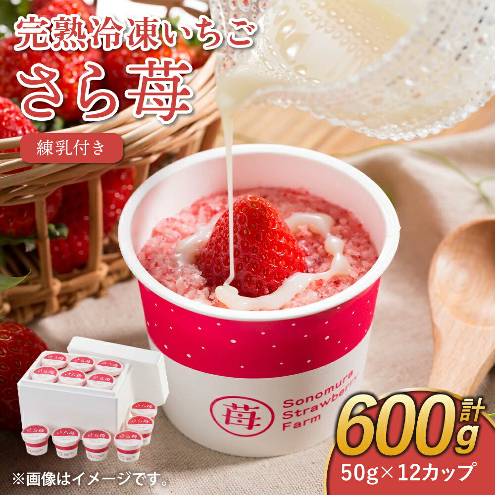 【ふるさと納税】完熟 冷凍 いちご さら苺 50g×12カップ 合計600g 練乳付き 園村苺園 イチゴ 苺 さちのか 練乳 フルーツ 果物 デザート 小分け カップ 急速冷凍 贈答品 贈り物 のし対応 国産 九州産 熊本県産 宇城市産 送料無料