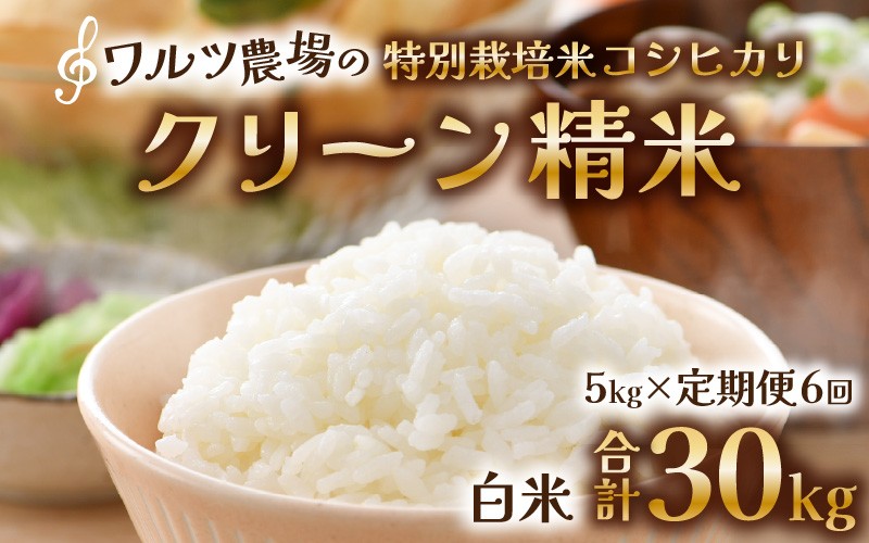 
                  【先行予約】【令和8年産 新米】《定期便6回》ワルツ農場のコシヒカリ クリーン精米 5kg 特別栽培米【納得の美味しさ】減農薬 有機肥料使用 / お米 ご飯 白米 発送直前 精米 つや 艶 甘味 旨み 北陸 あわら市産 福井県産 ブランド米 ※2026年11月上旬以降発送予定 [aw046-h001]
                
