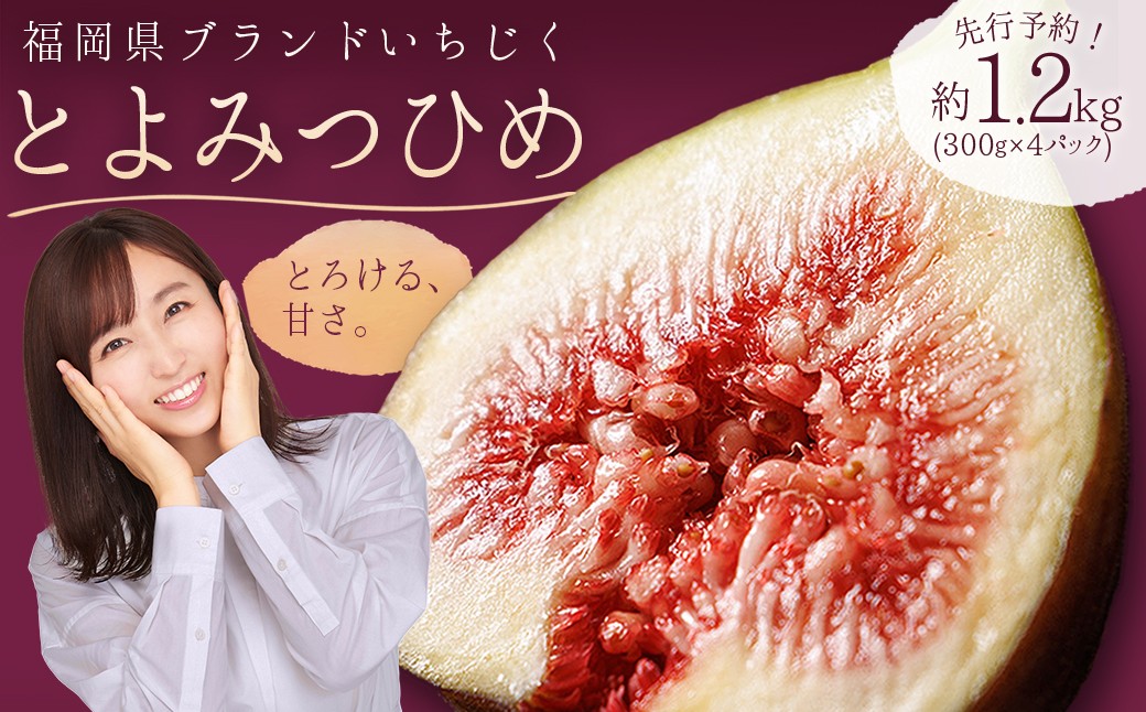 
福岡県ブランドいちじく「とよみつひめ」約1.2kg(約300ｇ×4パック) 3W2
