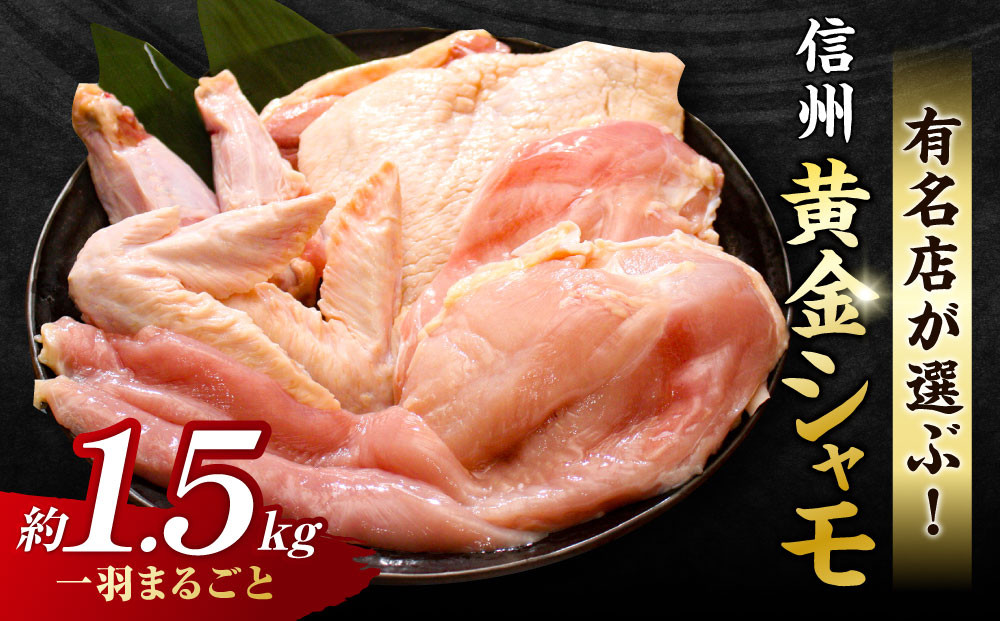 
                  【軍鶏】信州黄金シャモ1羽まるごとセット（モモ肉、ムネ肉、手羽先、手羽元、ササミ）合計約1.5kg｜グランドチャンピオン地鶏 鶏肉 冷凍
                