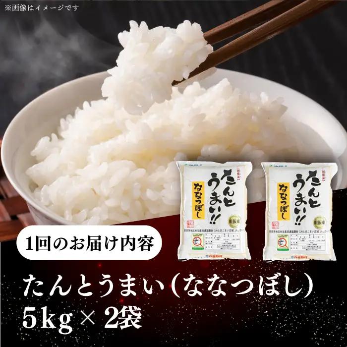 令和7年産 令和8年産 【全2回定期便】ななつぼし [たんとう米] 10kg 米 定期便 2カ月 連続 毎月 お米 白米 ご飯 ななつぼし ブランド米 北海道 [AXAB068]