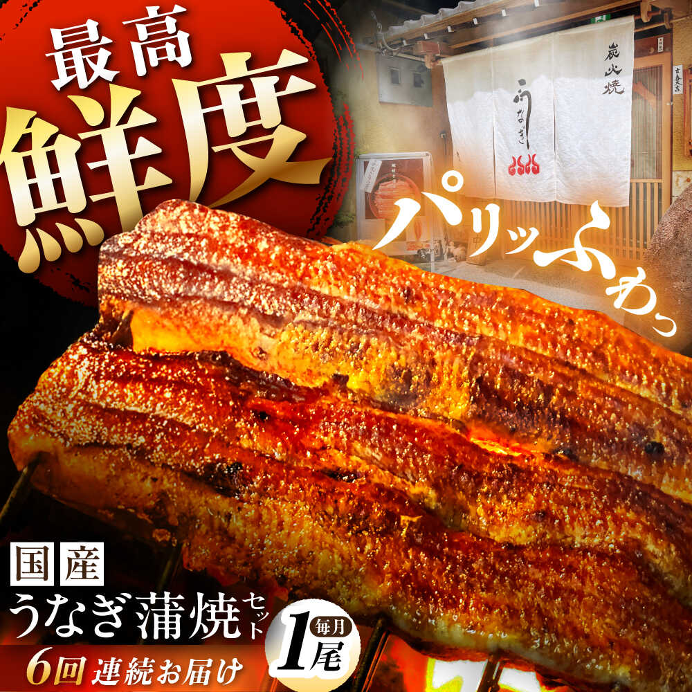 【ふるさと納税】うなぎ 鰻【6回定期便】【備長炭】 国産 うなぎ 蒲焼 1尾セット 鰻 ウナギ タレ付き 白川町 / 多幸八[AWBL008]
