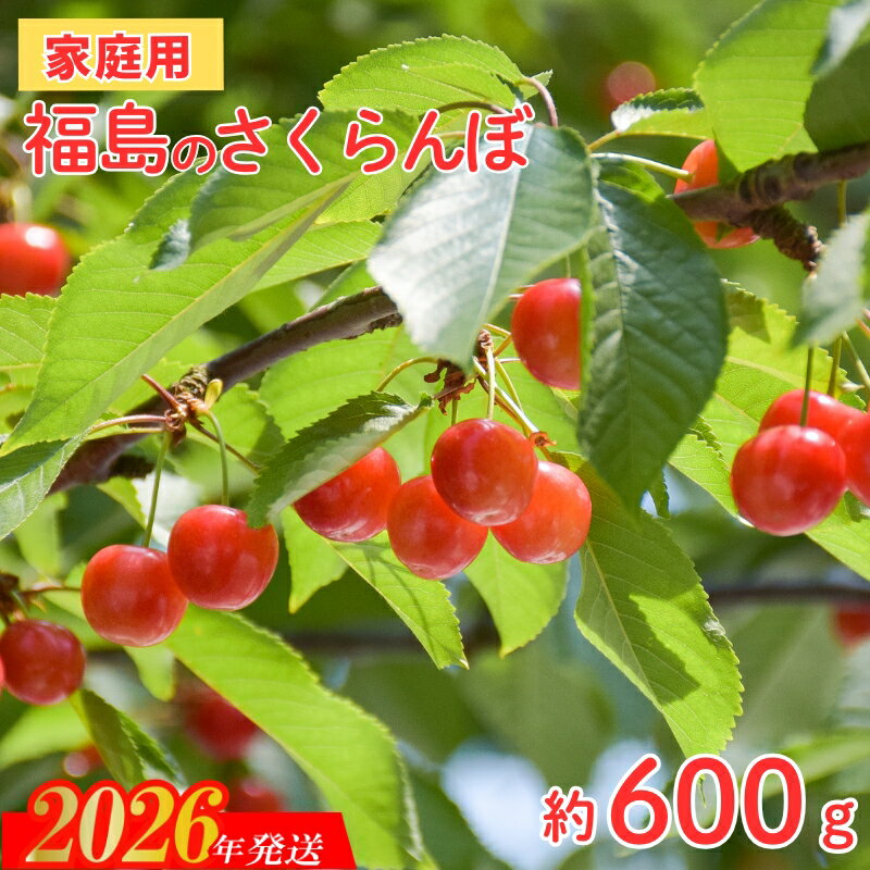 【ふるさと納税】No.2635【ご家庭用】さくらんぼ 品種お任せ 小粒　約600g（200g×3パック）【2026年発送 先行予約】