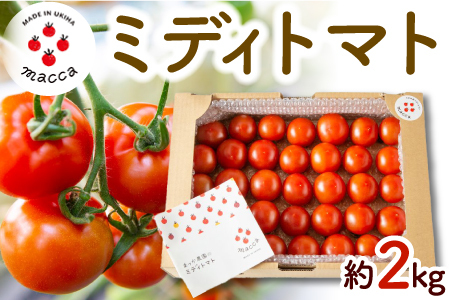 まっか農園 ミディトマト (約2kg) 2025年1月8日から1月31日お届け