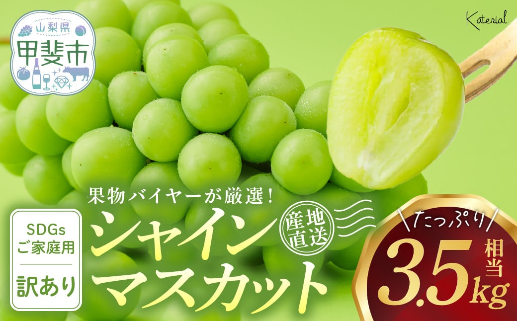 
【2025年分発送】 訳あり 家庭用 シャインマスカット 3.5㎏相当 SDGs 先行予約 先行 予約 山梨県産 産地直送 フルーツ 果物 くだもの ぶどう ブドウ 葡萄 シャイン シャインマスカット 新鮮 人気 おすすめ 国産 贈答 ギフト お取り寄せ わけあり ワケアリ 新鮮 甘い 皮ごと 山梨 甲斐市 AD-272
