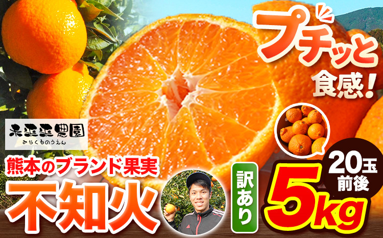 
            不知火 訳あり 先行予約 熊本のブランド果実 不知火 約 5kg 20玉前後 デコポン と同品種 でこぽん フルーツ フルーツ みかん ミカン 柑橘 しらぬい 未来来農園 《2026年4月上旬-4月下旬頃出荷》 熊本県 葦北郡 津奈木町 
          