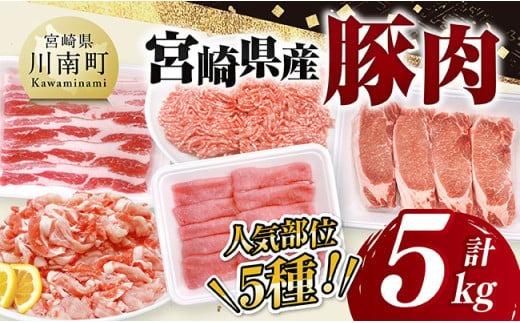 宮崎県産豚肉5種　5kg 【 豚肉 ぶた肉 肉 ロース バラ 切り落とし ミンチ 豚肉セット 】[D11623]