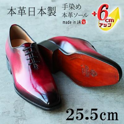 ふるさと納税 大和郡山市 ホールカット革靴 紐タイプ 6cmUPシークレットシューズ No.1380 ボルドー 25.5cm