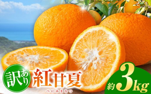 訳あり 紅甘夏 約 3kg | フルーツ 果物 くだもの 柑橘 ミカン みかん 甘夏 あまなつ 熊本県 玉名市