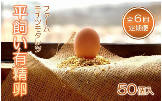 
                  【6回定期便】ファームモチツモタレツの平飼い有精卵（50個入） 【 卵 たまご タマゴ 玉子 卵焼き オムレツ 卵かけご飯 ゆで卵 鶏卵 卵黄 生卵 平飼い 長沼町 北海道 】
                