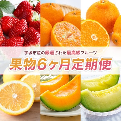 【発送月固定定期便】旬の果物6か月定期便(宇城市)全6回【配送不可地域：離島】【4067336】