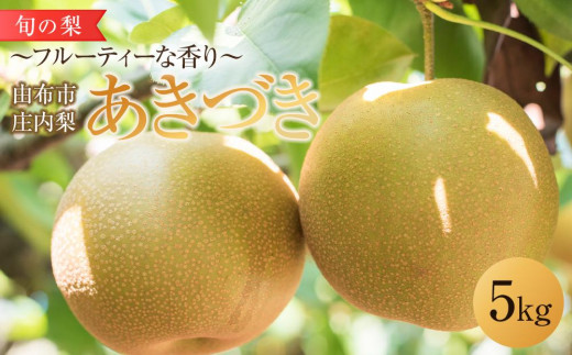 
                  旬の梨 あきづき 5kg 庄内梨 大塚梨園＜2026年9月上旬以降発送＞ | 梨 なし 5kg フルーツ 果物 お取り寄せ 国産 送料無料 おすすめ 数量限定 期間限定 ゆふいん 由布院 湯布院 由布市 大分県 九州 FT006
                