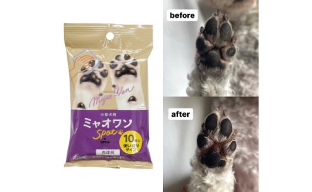 ペット用 肉球用ウェットティッシュ（10枚入×40個）ウェットティッシュ ペット用品 日用品