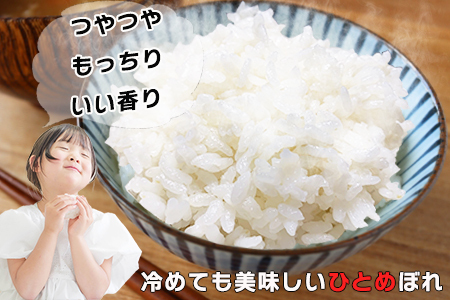 令和7年産 花巻産 ひとめぼれ 10㎏（5kg×2袋）【2225】