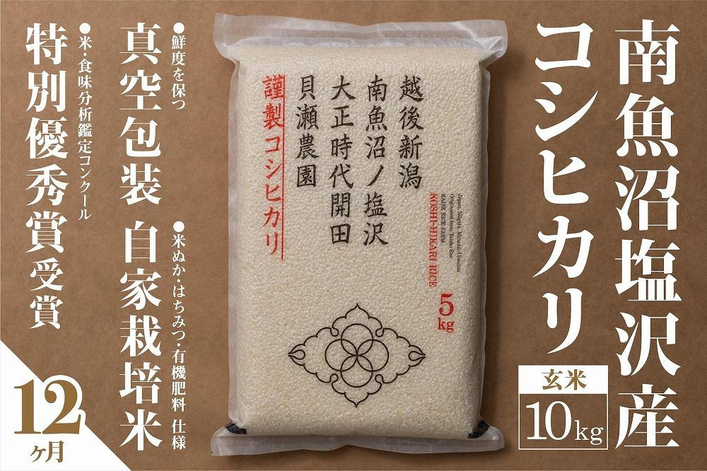 
            【令和7年産新米予約】【定期便】「貝瀬農園米」農薬5割減栽培　南魚沼塩沢産コシヒカリ　玄米10kg(5kg×2個)×全12回【2025年10月1日より順次発送予定】
          