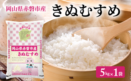 きぬむすめ 特A ランク 精米 岡山県産 米 きぬむすめ 【5kg1袋】