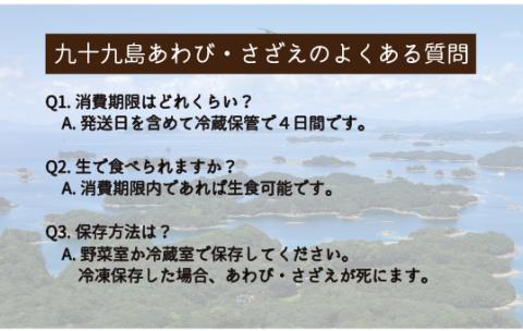 [A180p］九十九島あわび(1,400g)･さざえ(1,400g)