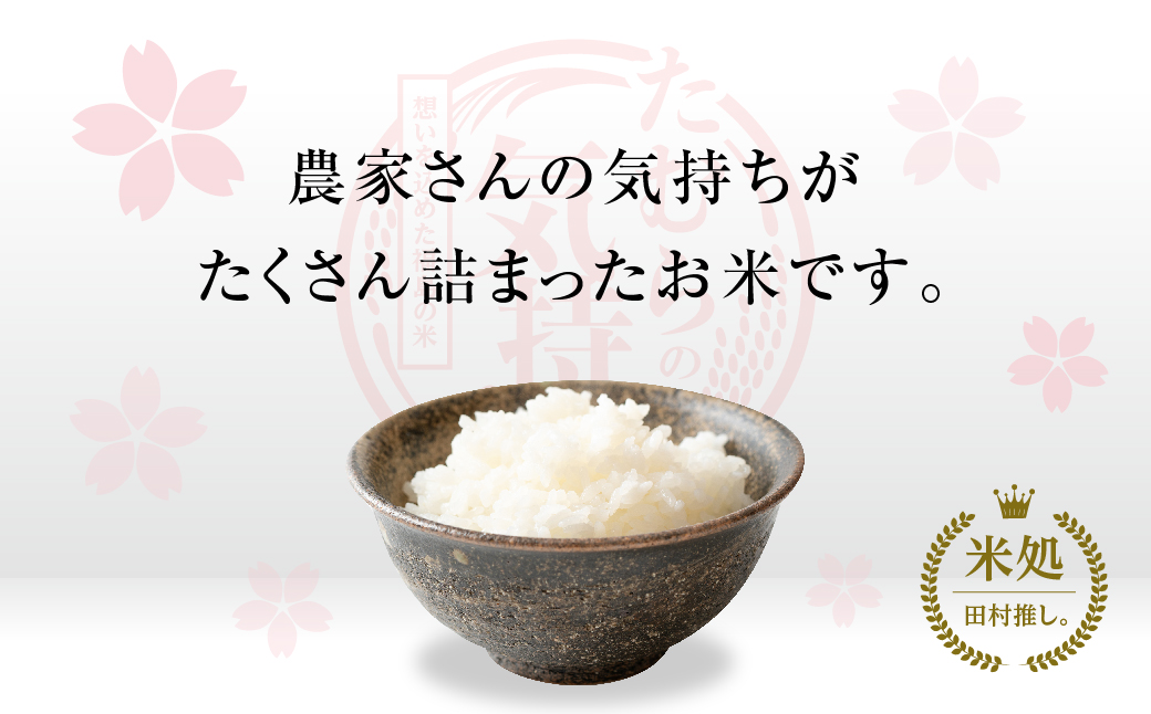 【令和7年産】コシヒカリ 20kg (5kg × 2袋 ) 米 一等米 白米 福島県産 田村市 N008-003-R7