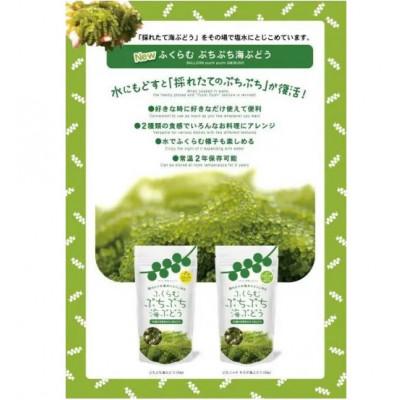 ふるさと納税 糸満市 ふくらむぷちぷち 海ぶどう 塩水タイプ 70g 2種 各1パック お試しセット 食べ比べ |  | 02