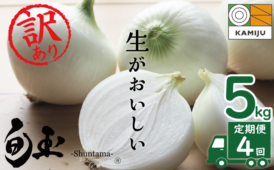 
                  (2026年発送)訳あり 新玉ねぎ 定期便 5kg×4回　生がおいしい 神重農産のブランド玉ねぎ「旬玉」 ブランド玉ねぎ 玉ねぎ 新玉ねぎ 国産 愛知県産 野菜 やさい 農家直送 畑直送 旬 たまねぎ 先行予約 旬 特産 高評価 高リピート 人気 H105-188
                